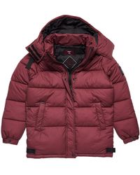 Superdry Padded and down jackets for Women | Online Sale up to 18% off |  Lyst