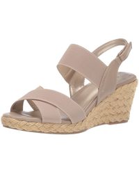 snake shoes mens