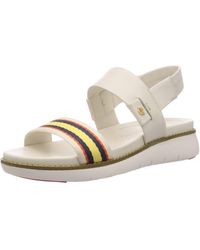 zerøgrand global double band sandal