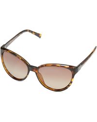 Cole Haan - Ch7046 Polarized Cat Eye Sunglasses - Lyst