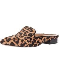 franco sarto mules leopard