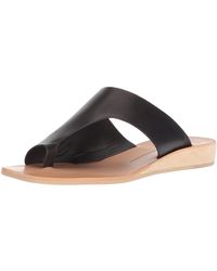 dolce vita dawn flip flop