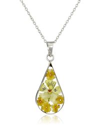 Amazon Essentials - Sterling Silver Orange Pressed Flower Teardrop Pendant Necklace - Lyst