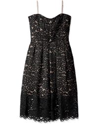 Vera Wang Casual and day dresses 