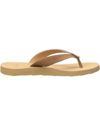 ugg tawney flip flop chestnut