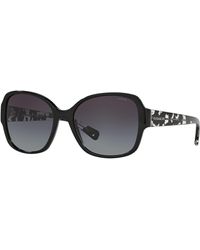 COACH - Sunglasses Hc 8166 534811 L154 Black Grey Gradient - Lyst