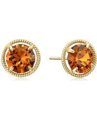 Amazon Essentials - 10k Gold Made With Infinite Elements Imported Crystal Birthstone November Stud Earrings - Lyst