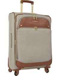 tommy bahama womens luggage