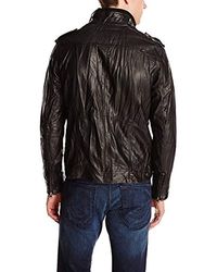 buffalo david bitton jacket price