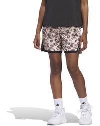 adidas - Crazylite Cheetah All Over Printed Basketball Shorts - Lyst