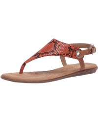 aerosoles miracle sandal