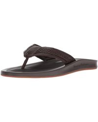 tommy bahama flip flops