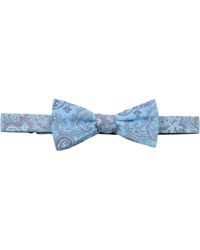 tommy bahama bow tie