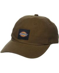 Dickies - Washed Canvas Cap Brown - Lyst
