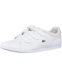 lacoste rey strap