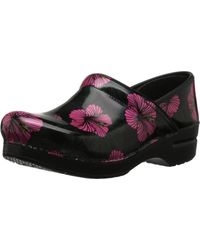 dansko hibiscus