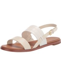arizona big buckle fire red