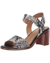 franco sarto havana