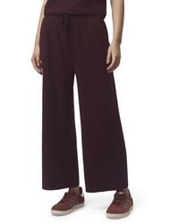 Splendid - Winslow Pant - Lyst