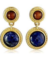 Ben-Amun - Bohemian With Tiger Eye And Sodalite Stones Drop Earrings - Lyst