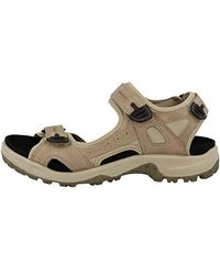gewoon Grondig Ook Ecco Sandals and flip-flops for Men | Online Sale up to 23% off | Lyst
