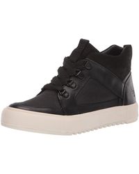 frye women's sneakers sale