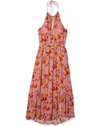 coast jade lace midi dress