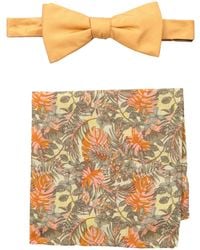 tommy bahama ties
