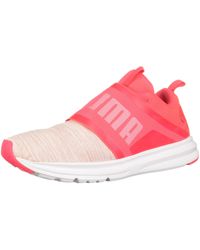 enzo angiolini kailee