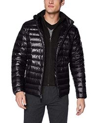 calvin klein men's down coat