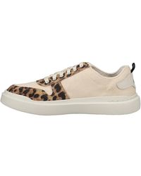 Cole Haan - Gp Rally Canvas Sneaker - Lyst