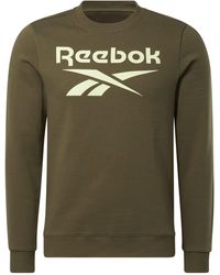 Reebok - Identity Big Logo Fleece Crew Sweatshirt - Lyst