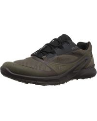 ecco biom omniquest gore tex