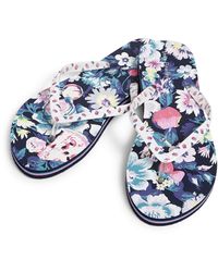 vera bradley flip flops amazon
