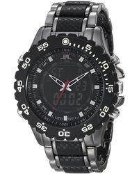 watch polo assn