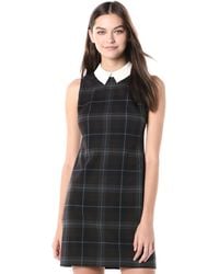 tommy hilfiger collared shift dress