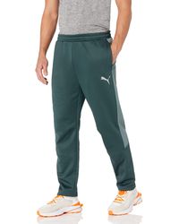 puma evostripe warm pants