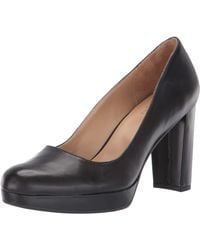 myer naturalizer