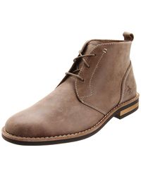 penguin chukkas