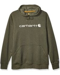 Carhartt Mens Tall Size Big /& Tall Force Delmont Signature Graphic Hooded Sweatshirt