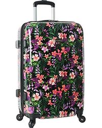 tommy bahama womens luggage