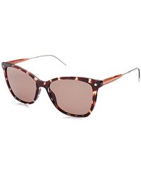 tommy hilfiger charlie watch