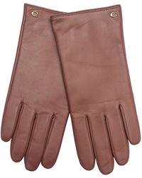 COACH - Sculpted C Womens Leather Tech Glove - Lyst
