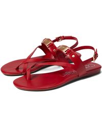 calvin klein women's sadra ankle strap flat sandals