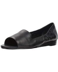 aerosoles tidbit