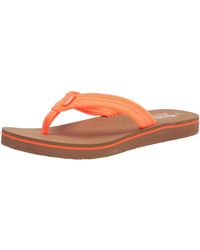 skechers bobs sunset blue light