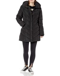 steve madden coats