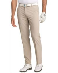 izod dress pants