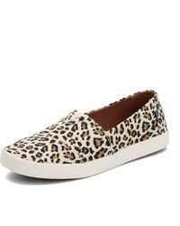 dsw toms avalon