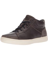 rockport colle high top